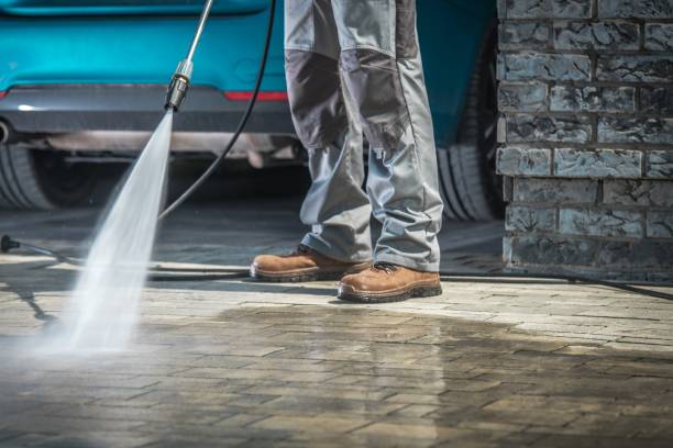 Best Fleet Vehicle Washing  in Port Orange, FL